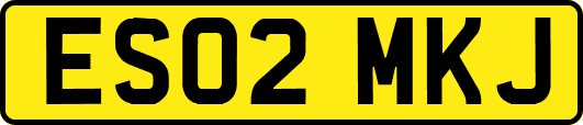 ES02MKJ
