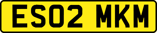 ES02MKM