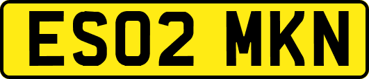 ES02MKN