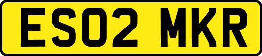 ES02MKR