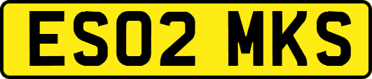 ES02MKS
