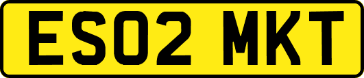 ES02MKT