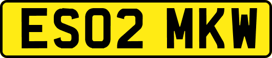 ES02MKW