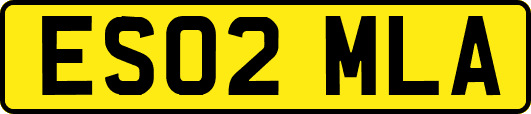ES02MLA