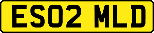 ES02MLD