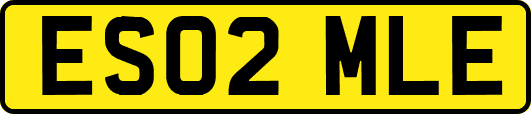 ES02MLE