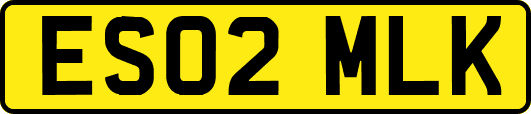 ES02MLK