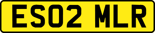 ES02MLR