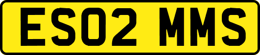 ES02MMS