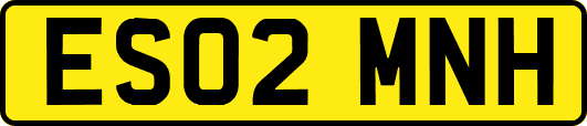 ES02MNH