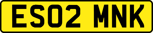 ES02MNK