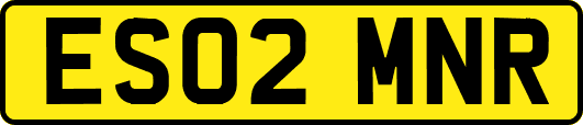 ES02MNR
