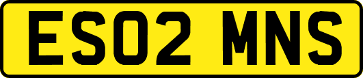 ES02MNS