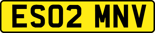 ES02MNV