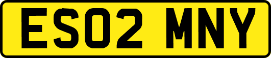 ES02MNY