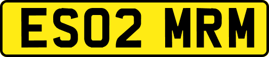 ES02MRM