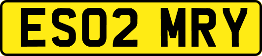 ES02MRY