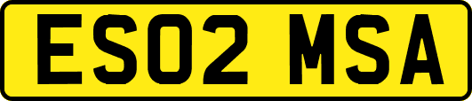 ES02MSA