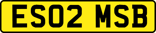 ES02MSB