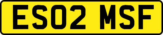 ES02MSF