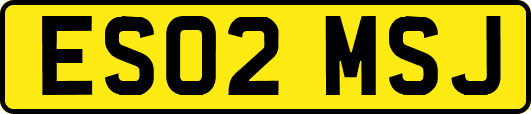 ES02MSJ