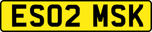 ES02MSK