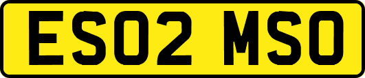 ES02MSO