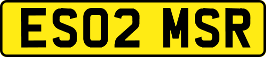 ES02MSR