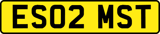ES02MST