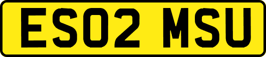 ES02MSU