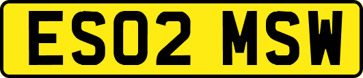 ES02MSW