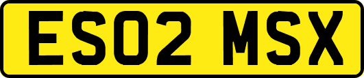 ES02MSX
