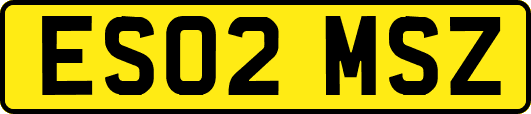 ES02MSZ