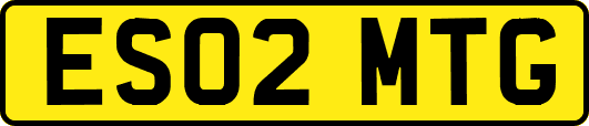 ES02MTG
