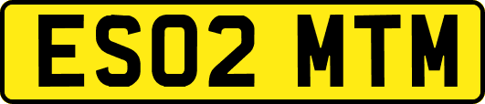 ES02MTM