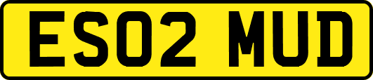 ES02MUD