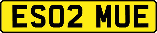 ES02MUE