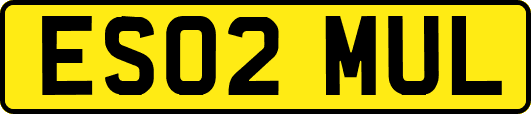 ES02MUL