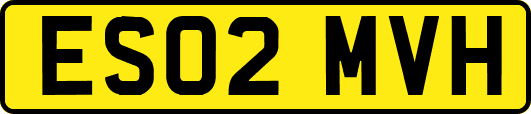 ES02MVH