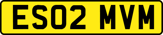 ES02MVM