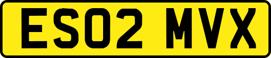 ES02MVX
