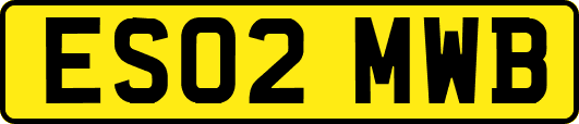 ES02MWB