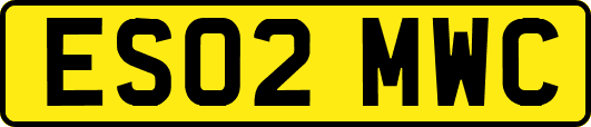 ES02MWC