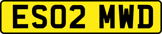 ES02MWD