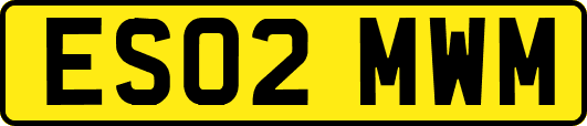 ES02MWM