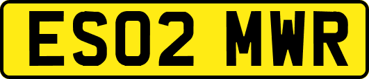 ES02MWR