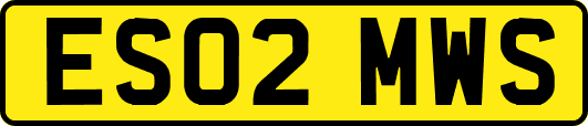 ES02MWS