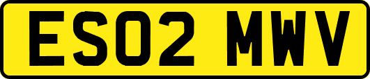 ES02MWV