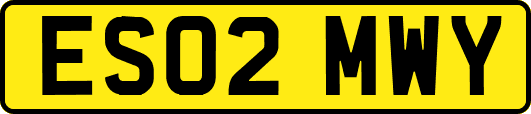 ES02MWY