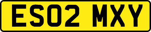 ES02MXY